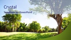  Presentation with tree sky trees green - Presentation design featuring farm landscape - field of grass and trees background and a sky blue colored foreground