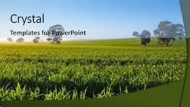  Presentation with australia - Colorful slides enhanced with farm landscape - fresh morning in the clare backdrop and a light blue colored foreground