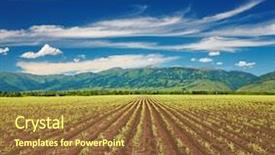  Presentation with crops - Presentation theme having farm landscape - view of field with sprouting background and a tawny brown colored foreground