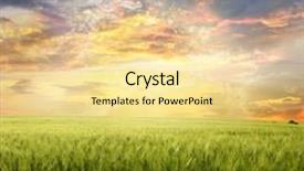  Presentation with blue yellow - Amazing slides having farm landscape - yellow meadow under blue sky backdrop and a blonde colored foreground