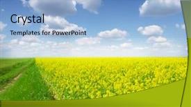  Presentation with farm - Cool new PPT theme with farm of canola in flower backdrop and a light blue colored foreground