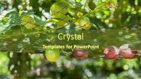  Presentation with fruit farm - Theme featuring farm-of-passion-fruit-cultivation background and a tawny brown colored foreground