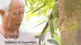 Presentation with tree farm - Cool new slide deck with farm owner checking on durian backdrop and a coral colored foreground