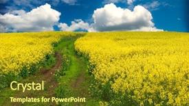  Presentation with battle field - Theme having farm road - oilseed rapeseed field background and a tawny brown colored foreground