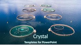  Presentation with norway - Presentation theme enhanced with farm salmon fishing in norway background and a ocean colored foreground