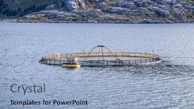  Presentation with norway - Presentation theme featuring farm salmon fishing in norway norway is the biggest producer of farmed salmon in the world with more than one million tonnes produced each year background and a light blue colored foreground