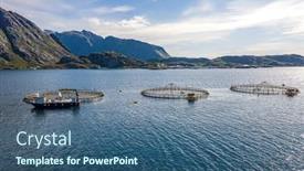  Presentation with salmon - Amazing presentation theme having farm salmon fishing in norway norway is the biggest producer of farmed salmon in the world with more than one million tonnes produced each year backdrop and a ocean colored foreground
