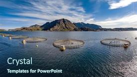  Presentation with world war 2 norway - PPT layouts consisting of farm-salmon-fishing-in-norway background and a ocean colored foreground