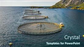  Presentation with word gone fishing - Amazing PPT theme having farm-salmon-fishing-in-norway backdrop and a ocean colored foreground