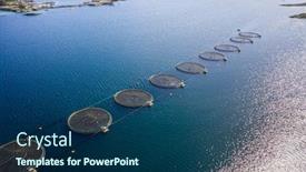  Presentation with norway - Slide set consisting of farm-salmon-fishing-in-norway background and a ocean colored foreground