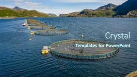  Presentation with norway - Beautiful slide deck featuring farm-salmon-fishing-in-norway backdrop and a ocean colored foreground