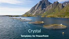  Presentation with norway - PPT theme with farm-salmon-fishing-in-norway background and a ocean colored foreground