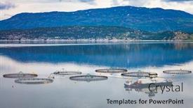  Presentation with norway - Slide deck consisting of farm-salmon-fishing-in-norway background and a light gray colored foreground