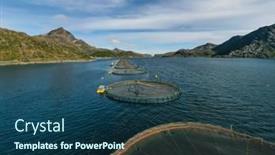  Presentation with norway - PPT layouts with farm-salmon-fishing-in-norway background and a ocean colored foreground