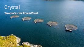  Presentation with norway - Amazing slide deck having farm-salmon-fishing-in-norway backdrop and a teal colored foreground