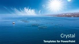  Presentation with salmon - Slide deck having farm-salmon-fishing-in-norway background and a ocean colored foreground