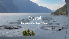  Presentation with salmon - PPT theme enhanced with farm-salmon-fishing-in-norway background and a seafoam green colored foreground