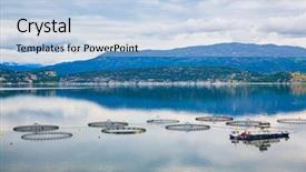  Presentation with norway - Audience pleasing slides consisting of farm salmon fishing in norway backdrop and a light blue colored foreground