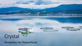  Presentation with norway - Colorful PPT theme enhanced with farm salmon fishing in norway backdrop and a light blue colored foreground