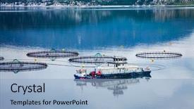  Presentation with farm - Presentation having farm salmon fishing in norway background and a light blue colored foreground