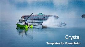  Presentation with salmon - Slides consisting of farm salmon fishing in norway background and a teal colored foreground