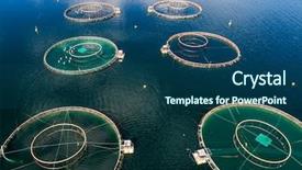  Presentation with aerial - Colorful theme enhanced with farm salmon fishing in norway backdrop and a ocean colored foreground