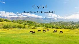  Presentation with sustainable green cities - PPT theme consisting of farm scenery - horses on green meadow background and a light blue colored foreground