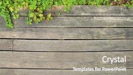  Presentation with old farm - Colorful slide deck enhanced with moss and lichen on a backdrop and a gray colored foreground.