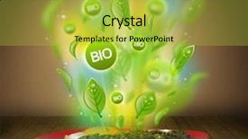  Presentation with green plate - Audience pleasing PPT theme consisting of farm vegetables - healthy bio green plate backdrop and a  colored foreground