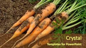 Presentation with carrots - Beautiful PPT theme featuring farm vegetables - some carrots with tops backdrop and a tawny brown colored foreground