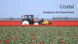  Presentation with toroidal field - Beautiful presentation design featuring farm wedding - tulip field 22 backdrop and a  colored foreground