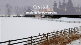  Presentation with winter farm - Theme featuring farm with a barn and horses in winter at sunset background and a gray colored foreground
