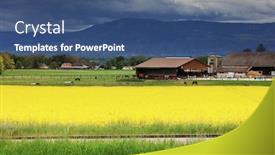  Presentation with rapeseed - PPT theme with farm-with-field-of-rapeseed background and a ocean colored foreground