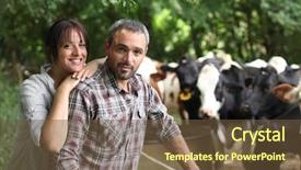  Presentation with dairy farm - PPT theme with farmer and his wife background and a tawny brown colored foreground