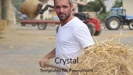  Presentation with seeds farmer - Audience pleasing PPT theme consisting of farmer bailing hay backdrop and a coral colored foreground