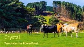  Presentation with green hills - Audience pleasing presentation design consisting of farmer-field-after-harvesting backdrop and a tawny brown colored foreground