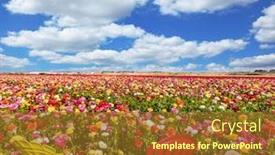  Presentation with rural tourism - Amazing slides having farmer-field-for-cultivation backdrop and a tawny brown colored foreground