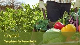  Presentation with organic - PPT layouts with farmer harvesting organic vegetables background and a tawny brown colored foreground