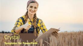  Presentation with harvest - PPT theme having farmer-having-harvest-finished-showing background and a violet colored foreground