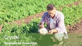  Presentation with soil science - Amazing theme having farmer holding flask with soil backdrop and a seafoam green colored foreground