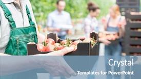  Presentation with farmer overlooking his fields - Amazing PPT theme having farmer holding tomatoes in crate backdrop and a teal colored foreground