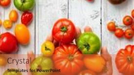  Presentation with farm to table - Presentation design with farmer-holds-tomatoes-of-different background and a red colored foreground