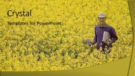  Presentation with rapeseed - Presentation theme consisting of farmer in a rapeseed field background and a  colored foreground