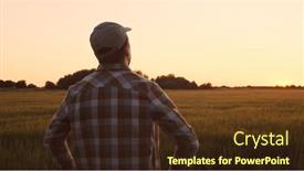  Presentation with agricultural - PPT theme with farmer-in-front background and a tawny brown colored foreground