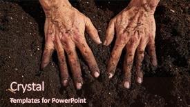  Presentation with orchard - Cool new theme with farmer man hands dirty backdrop and a wine colored foreground