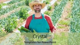  Presentation with orchard - PPT theme featuring farmer man harvesting vegetables in mediterranean orchard field background and a mint green colored foreground