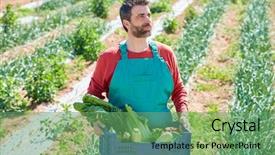  Presentation with mediterranean - Amazing slide set having farmer man harvesting vegetables in mediterranean orchard field backdrop and a seafoam green colored foreground