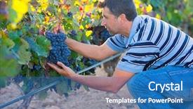  Presentation with autumn leaves - Cool new PPT layouts with farmer man in vineyard harvest autumn leaves in mediterranean field backdrop and a teal colored foreground