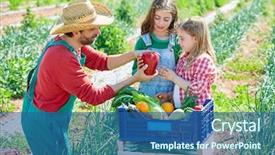  Presentation with orchard - Theme having farmer man showing vegetables harvest to kid girls in orchard background and a ocean colored foreground