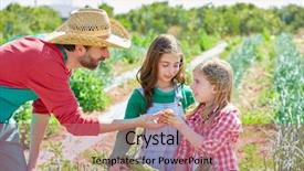  Presentation with harvest - Audience pleasing PPT theme consisting of farmer man showing vegetables harvest backdrop and a coral colored foreground